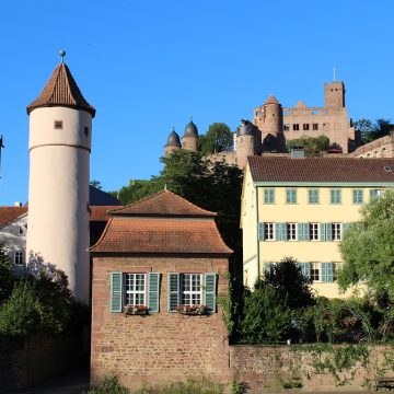 wertheim-am-main-869783_1280 (1)